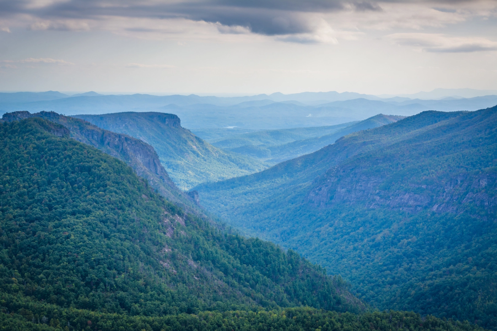 An image depicting the trail Jonas Ridge Trail and its surrounding area.