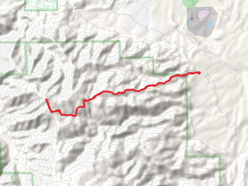 Tanner Peak Trail