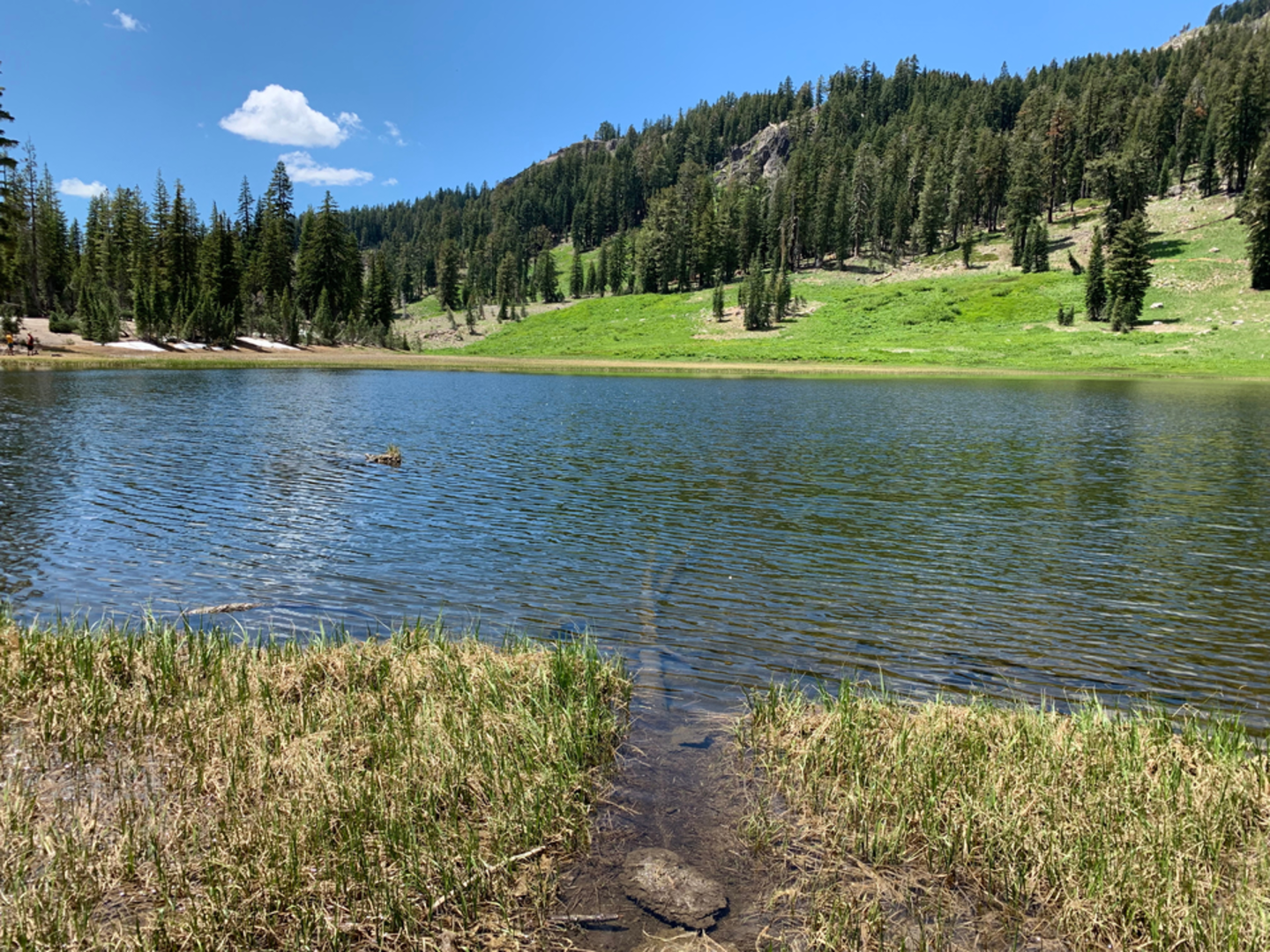 An image depicting the trail Cold Boiling Lake Trail and its surrounding area.