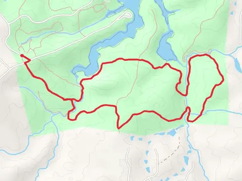 Cliatt Creek Nature Trail and Rock Dam Loop Trail