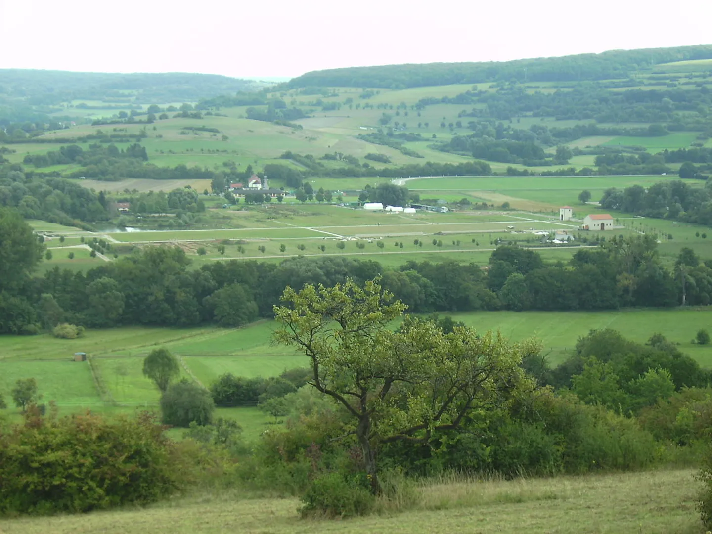 An image depicting the trail Keltenweg Netphen Loop and its surrounding area.