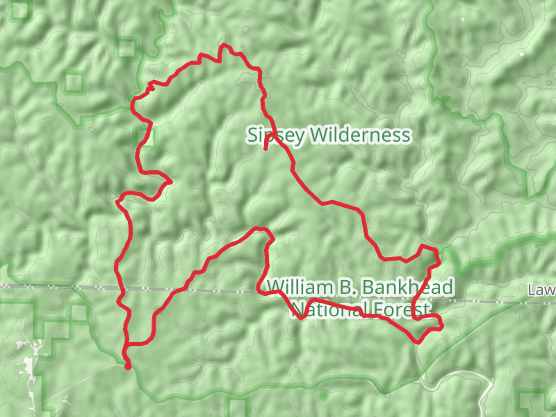 Rippey Wild Hiking, Borden Creek Wild Hiking and Sipsey Wild Hiking Loop Trail