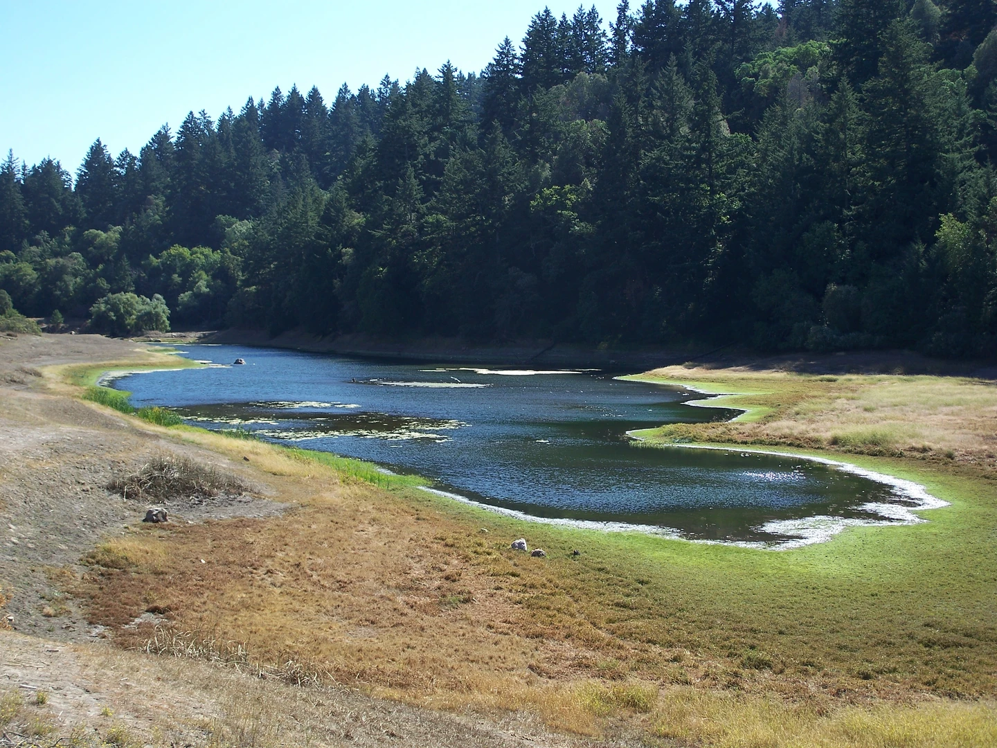 An image depicting the trail Lake Ranch Trail and John Nicholas Trail and its surrounding area.