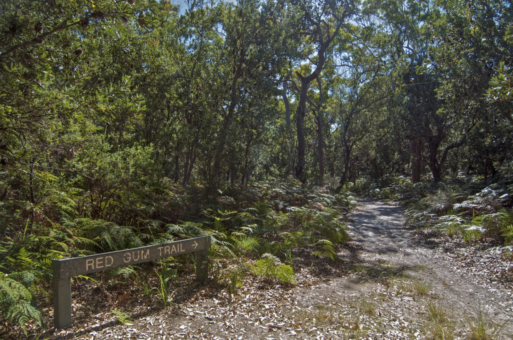An image depicting the trail Red Gum Trail and its surrounding area.