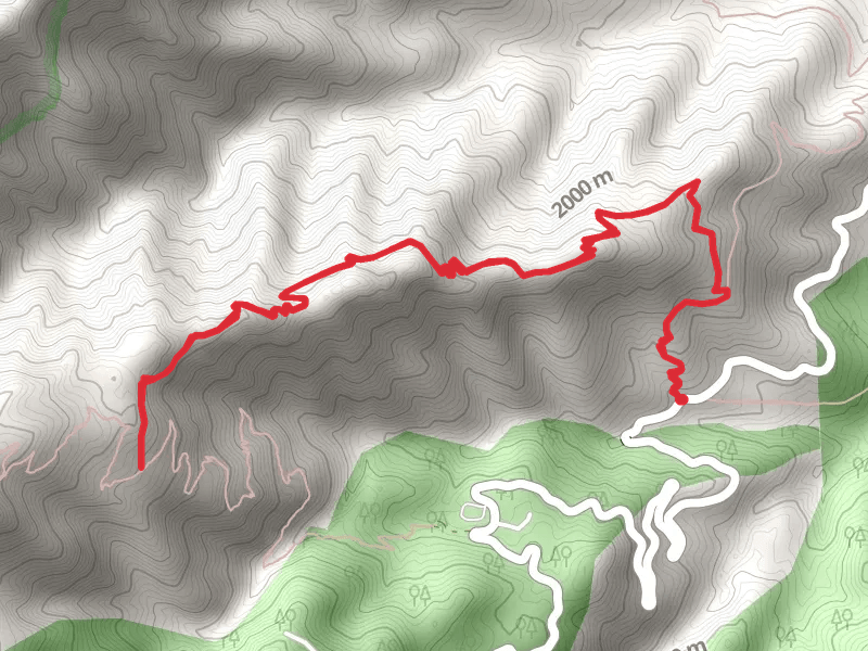 Noon Creek Ridge Trail