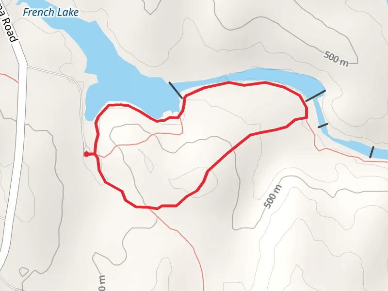 Longhorn and Bison Loop Trail