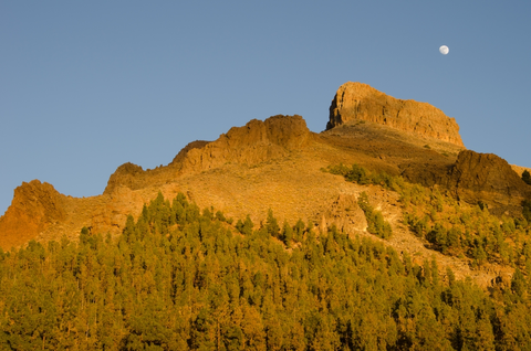 Sombrero de Chasna Trail