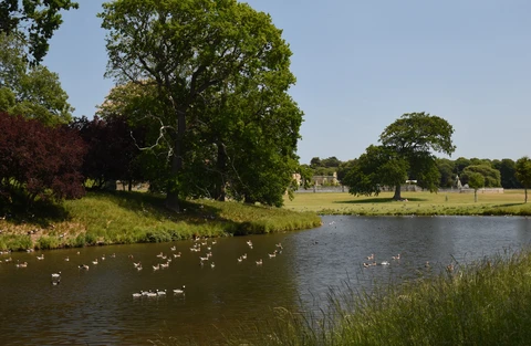 Holkham Park and Lake Circular