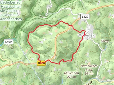 Wipperfeld Loop