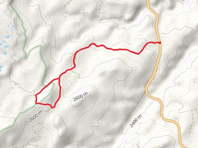 Trigger Lake Road