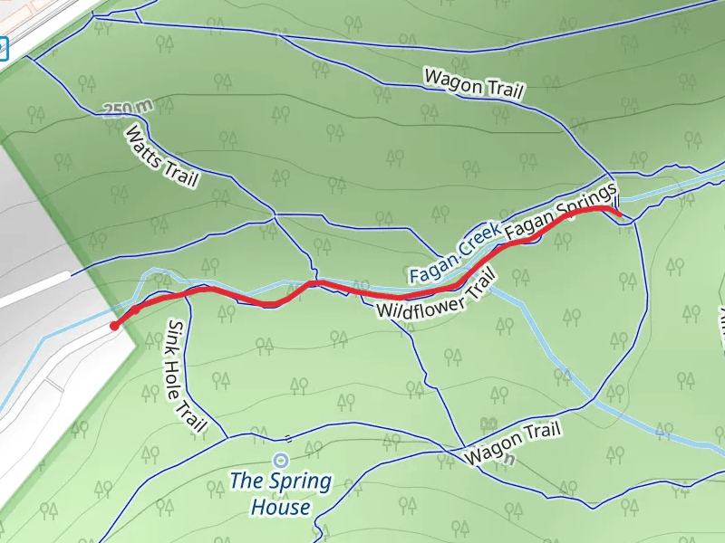 Wild Flower Trail
