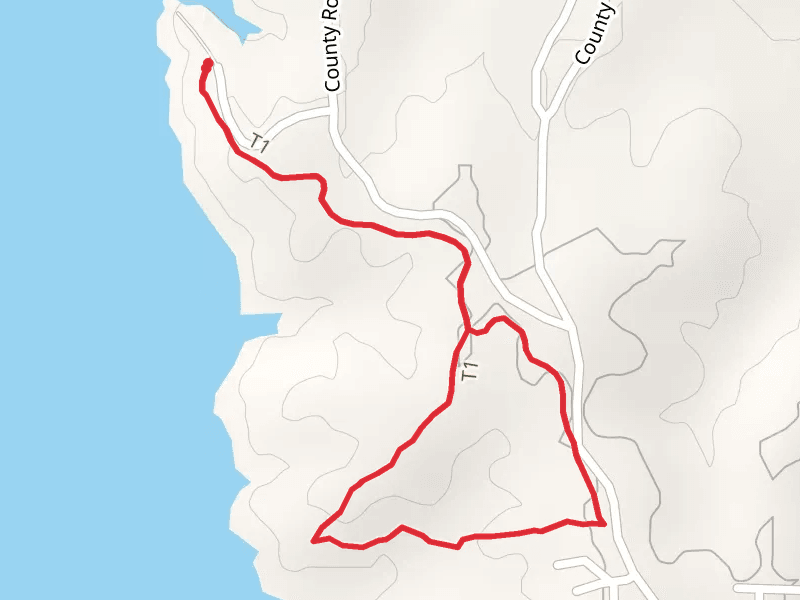 Quail Run Trail Loop