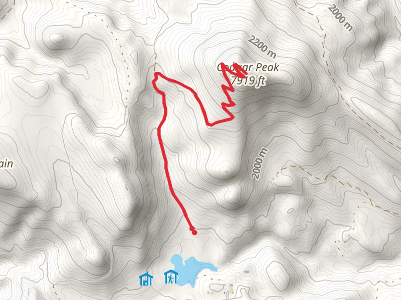Cougar Peak Trail