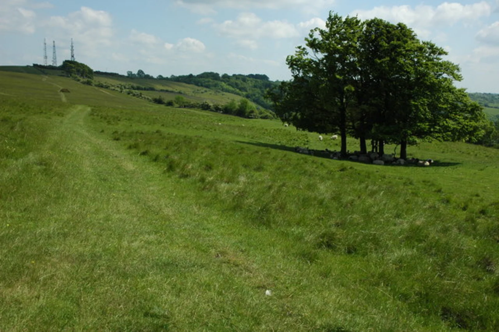 An image depicting the trail Loop beside Cleeve Hill and its surrounding area.