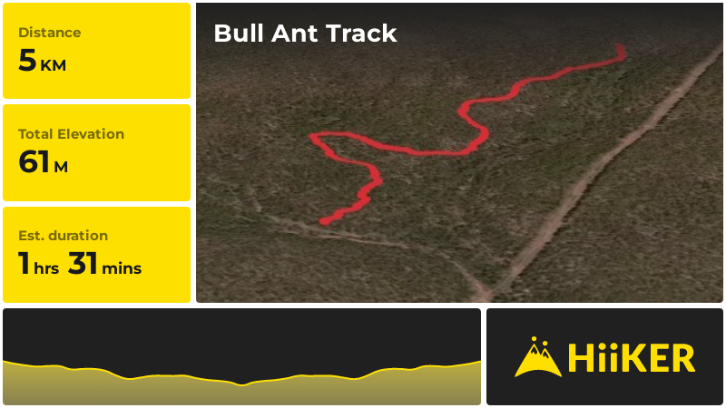 Bull Ant Track | Shire Of Collie | Western Australia
