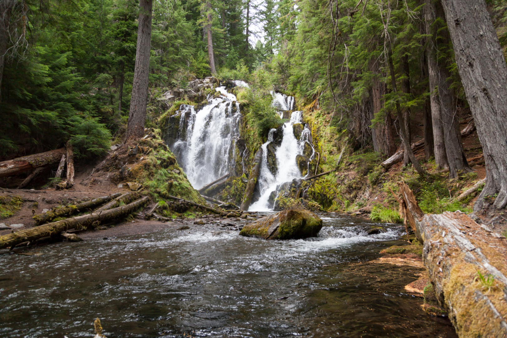 An image depicting the trail National Creek Falls Trail and its surrounding area.