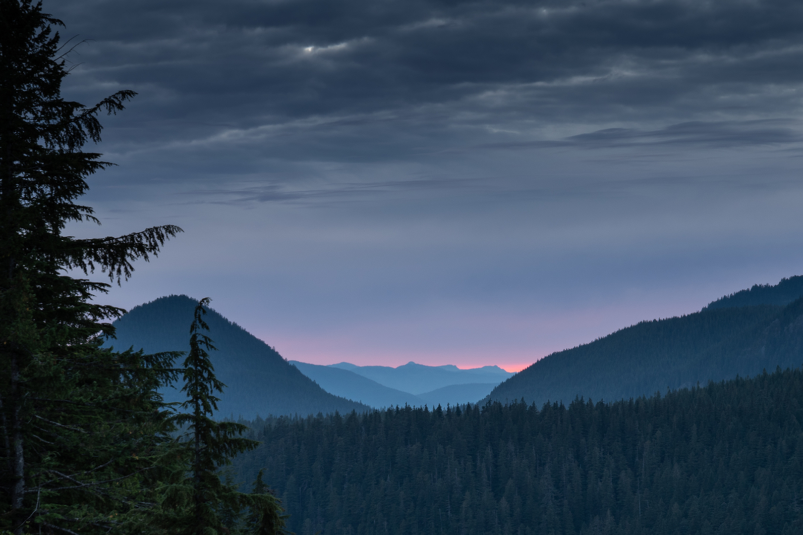 An image depicting the trail Twin Firs Loop Trail and its surrounding area.