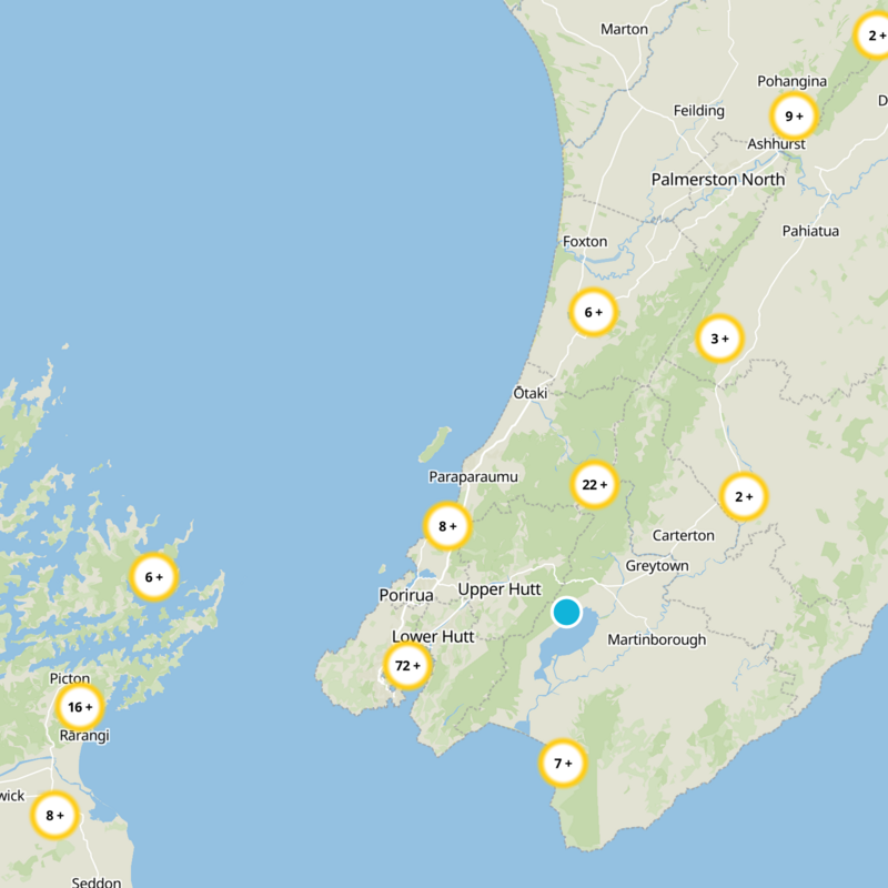Wellington Static Map