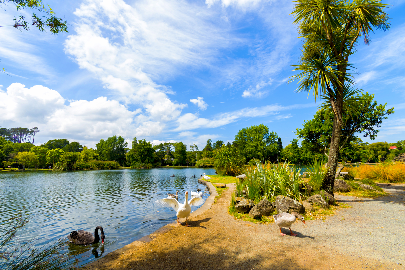 An image depicting the trail Western Springs Lakeside Park and its surrounding area.