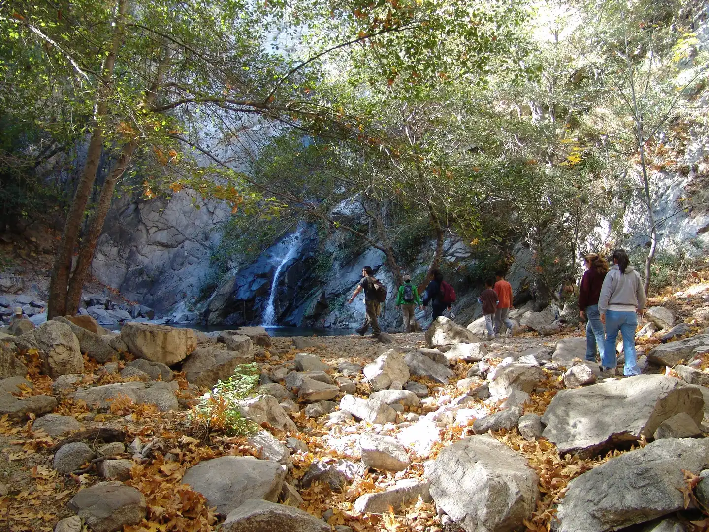 An image depicting the trail Sturtevant, Mount Zion and Lower Winter Creek Loop Trail and its surrounding area.