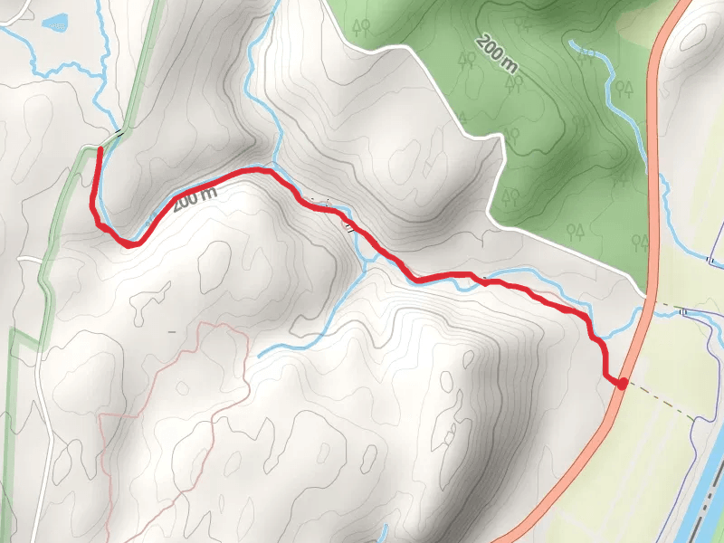 Hornbecks Creek Trail Out and Back