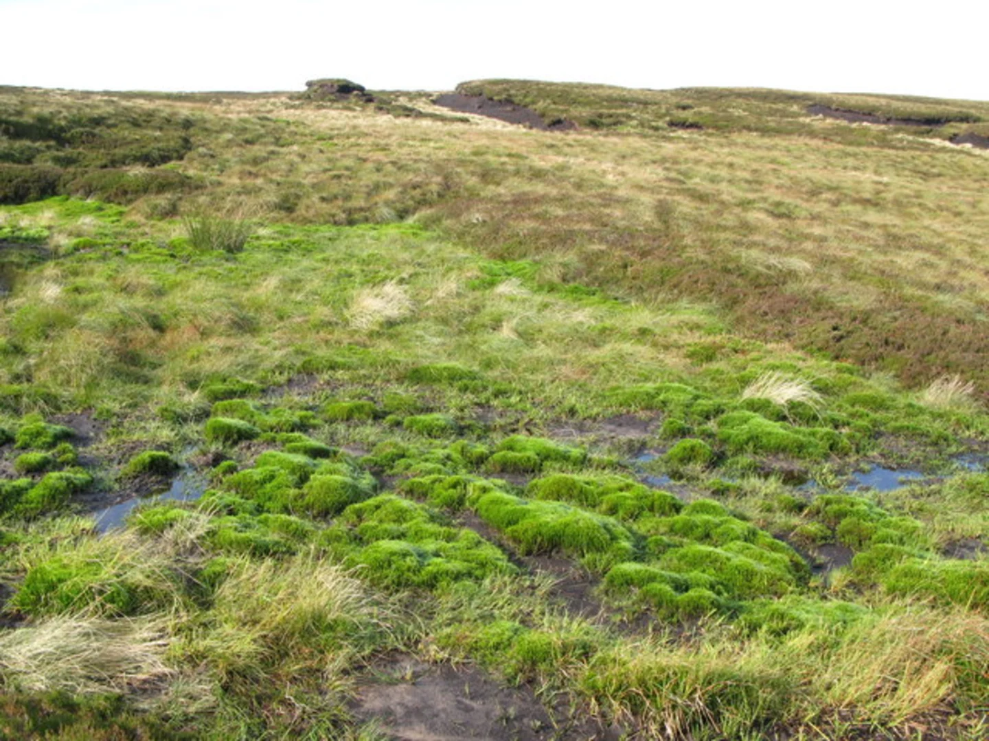 An image depicting the trail Whernside Loop - Dent and its surrounding area.