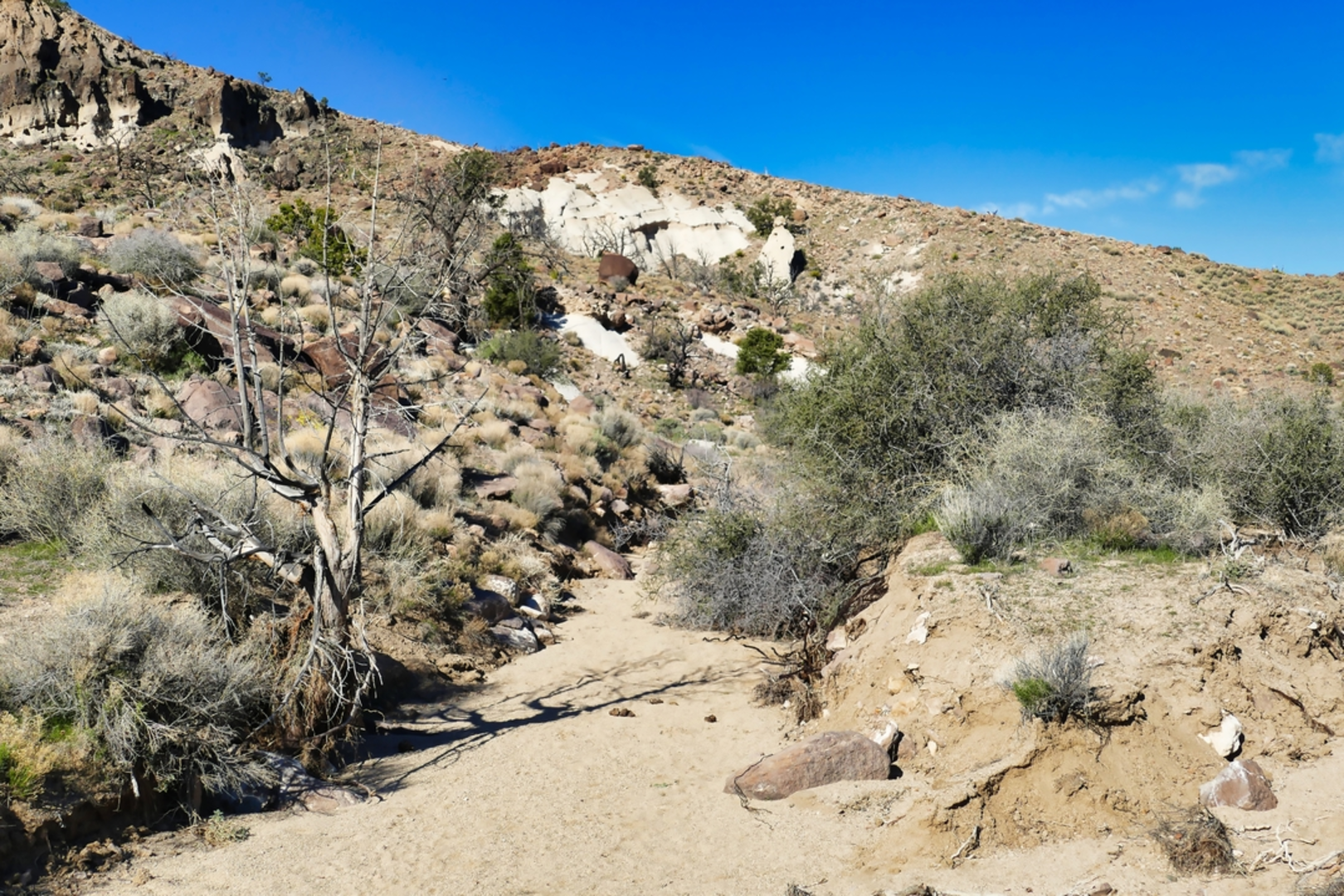 An image depicting the trail Hole - in - the - Wall Nature Trail and its surrounding area.