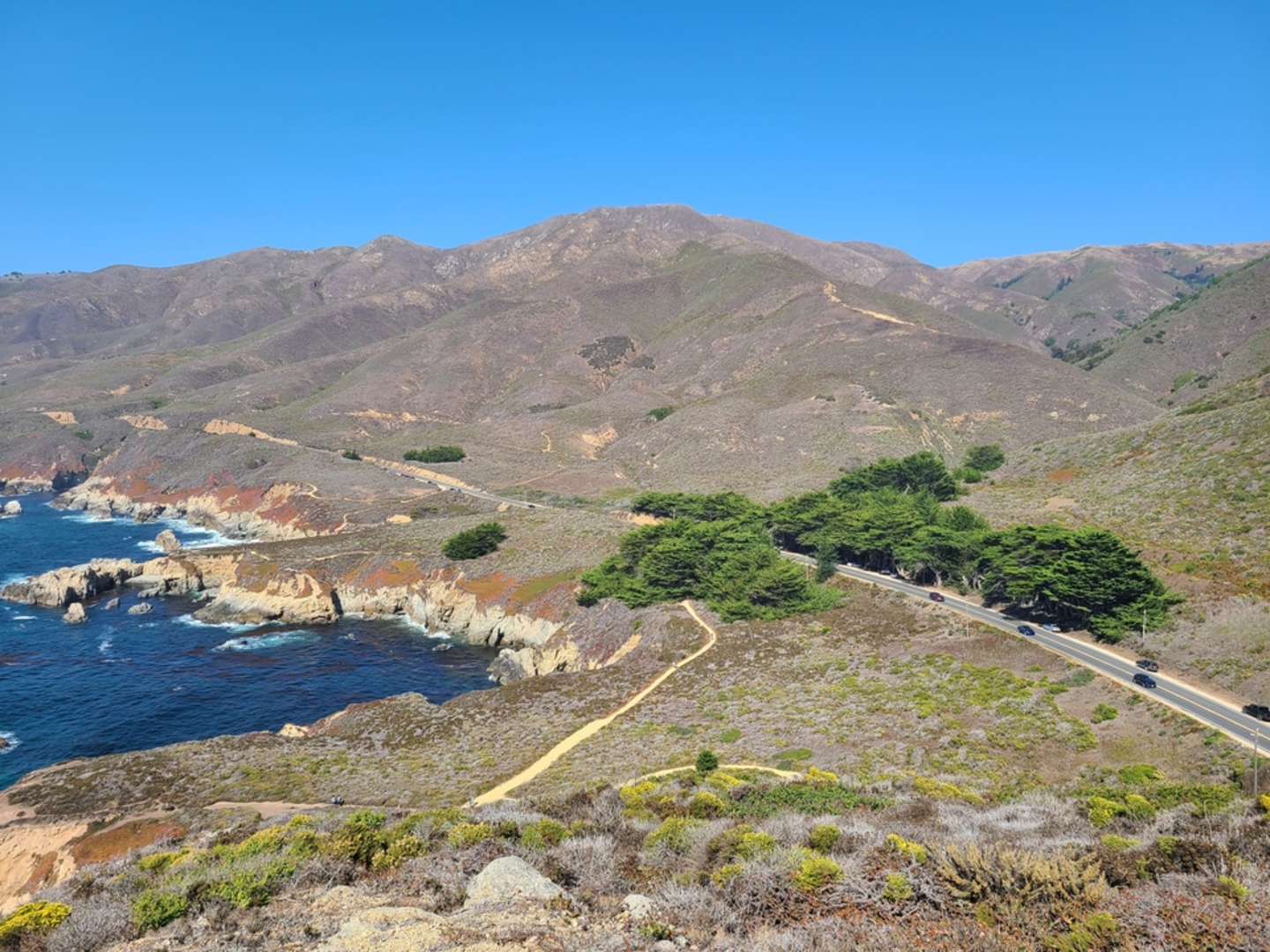 An image depicting the trail Whale Peak Loop and its surrounding area.