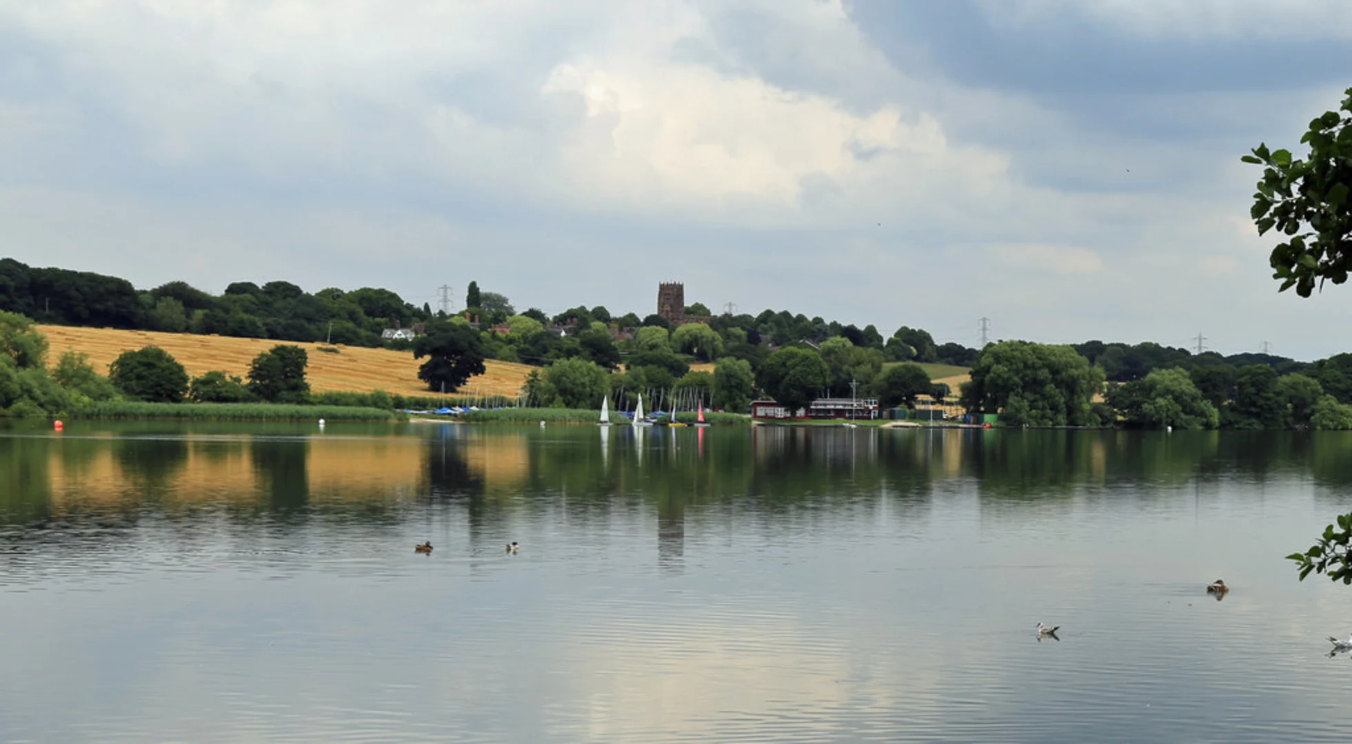 An image depicting the trail Budworth Mere and Marbury Country Park Loop and its surrounding area.