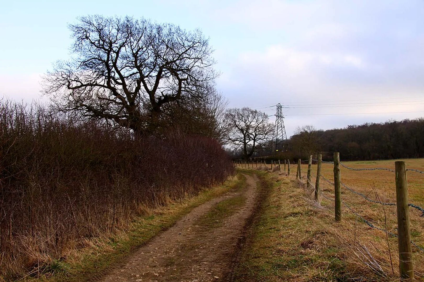 An image depicting the trail Boars Hill Loop and its surrounding area.