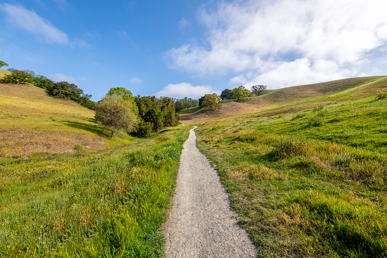 An image depicting the trail Sand Hill, Short Ridge Trail and Shady Slope Loop Trail and its surrounding area.