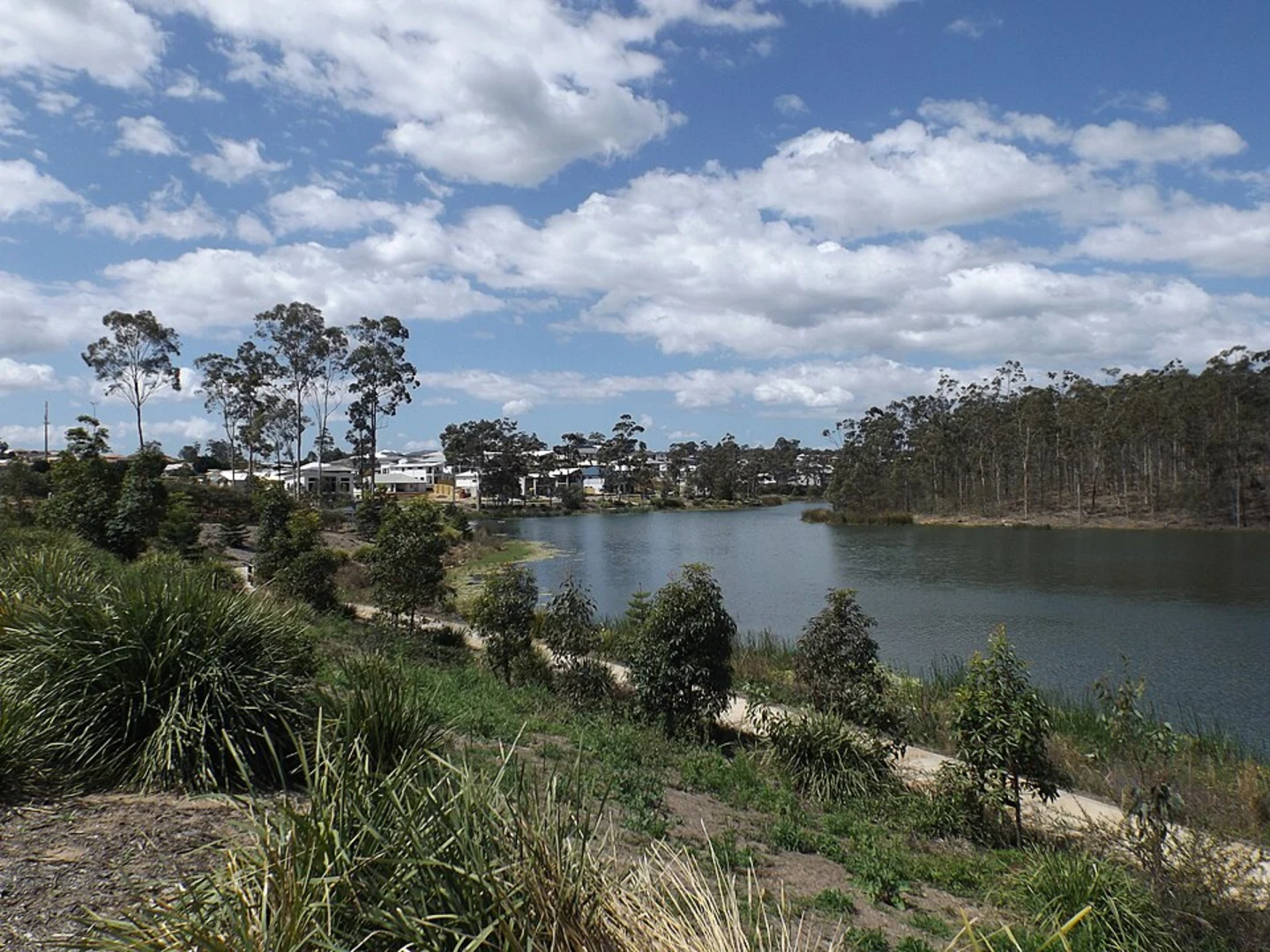 An image depicting the trail Regatta Lake Loop and its surrounding area.