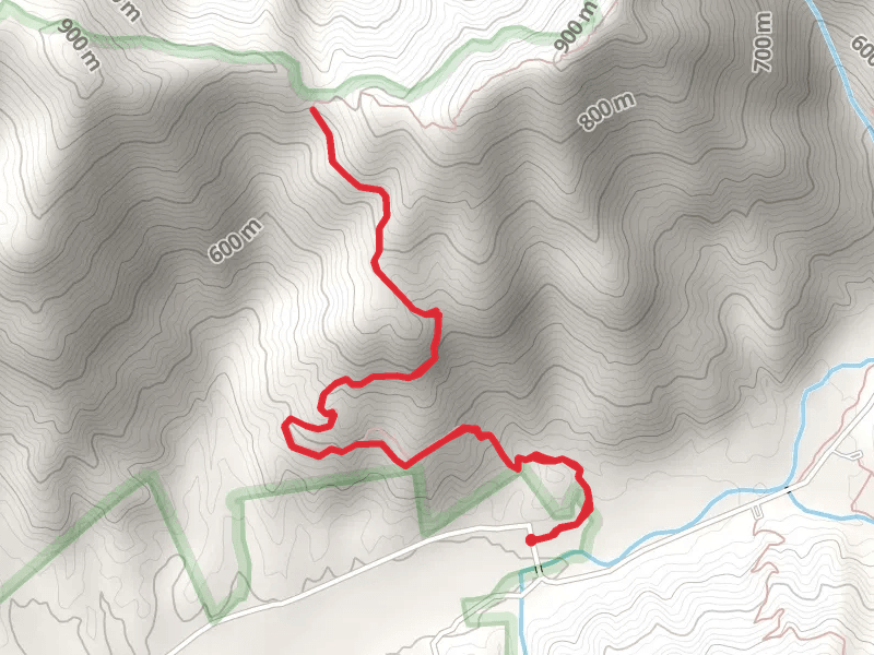Ross Gap Short Trail - Flat Fork Road