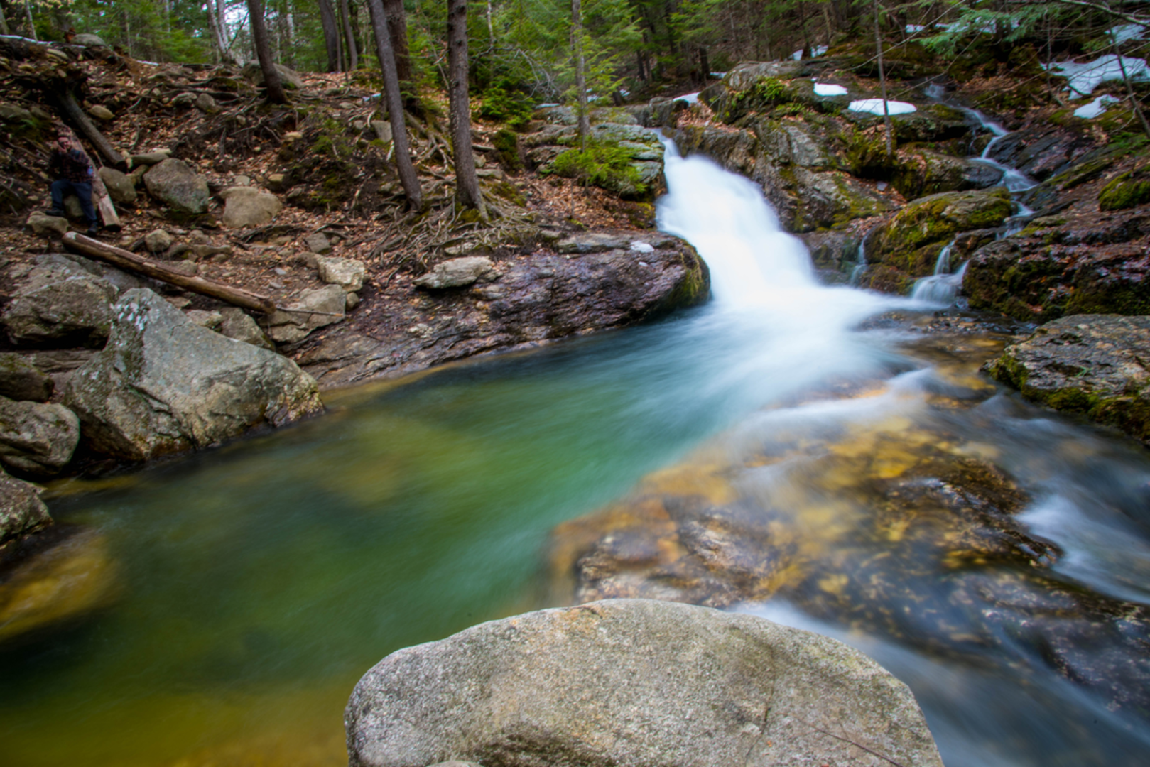 An image depicting the trail Baldface Knob Trail via Emerald Pool Trail and its surrounding area.