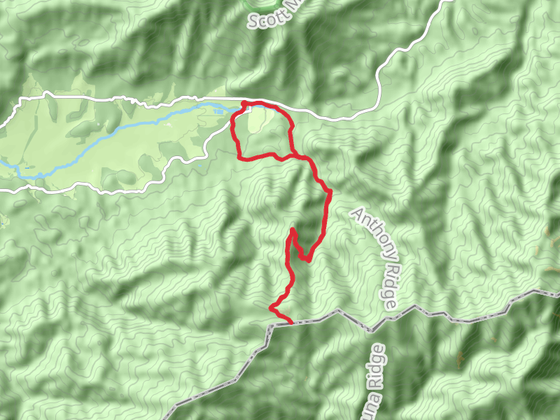 McCampbell Knob via Cades Cove Horse Trail
