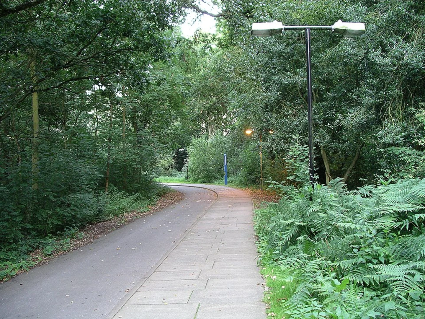 An image depicting the trail ACW Circular Walk 05 and its surrounding area.