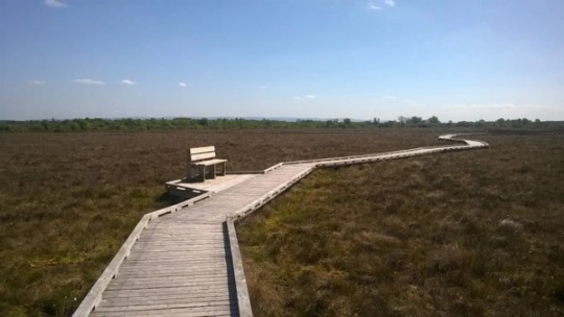 An image depicting the trail Clara Esker Forest Loop Walk and its surrounding area.
