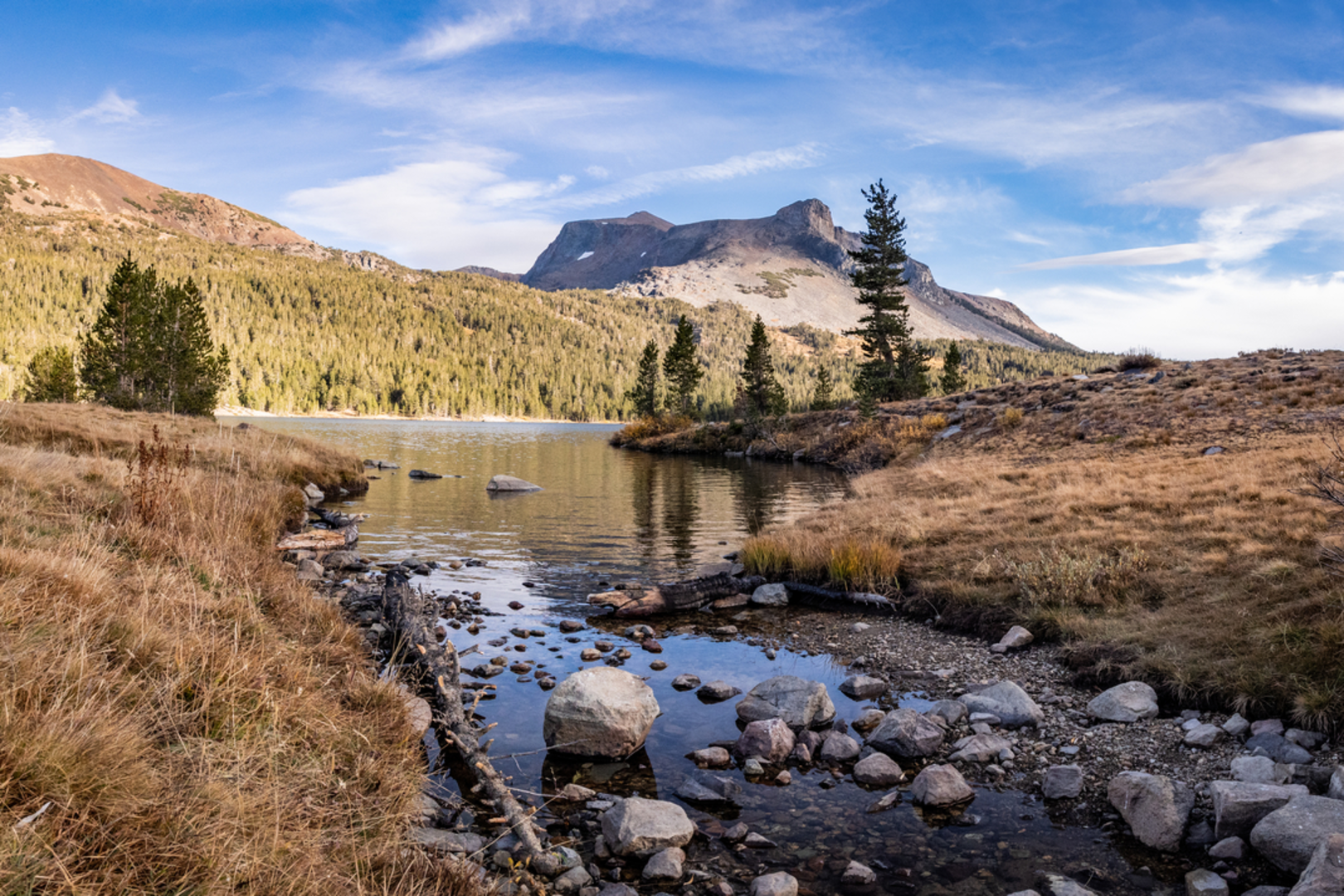 An image depicting the trail Mount Dana Trail and its surrounding area.