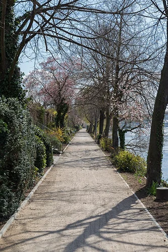 Neckar via Odenwald Vogesen Weg and Leinpfad