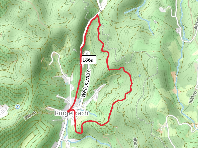 Ringelbach Loop via Ringelbacher Keschdeweg