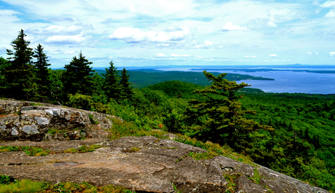 Megunticook Lake via Blue Trail