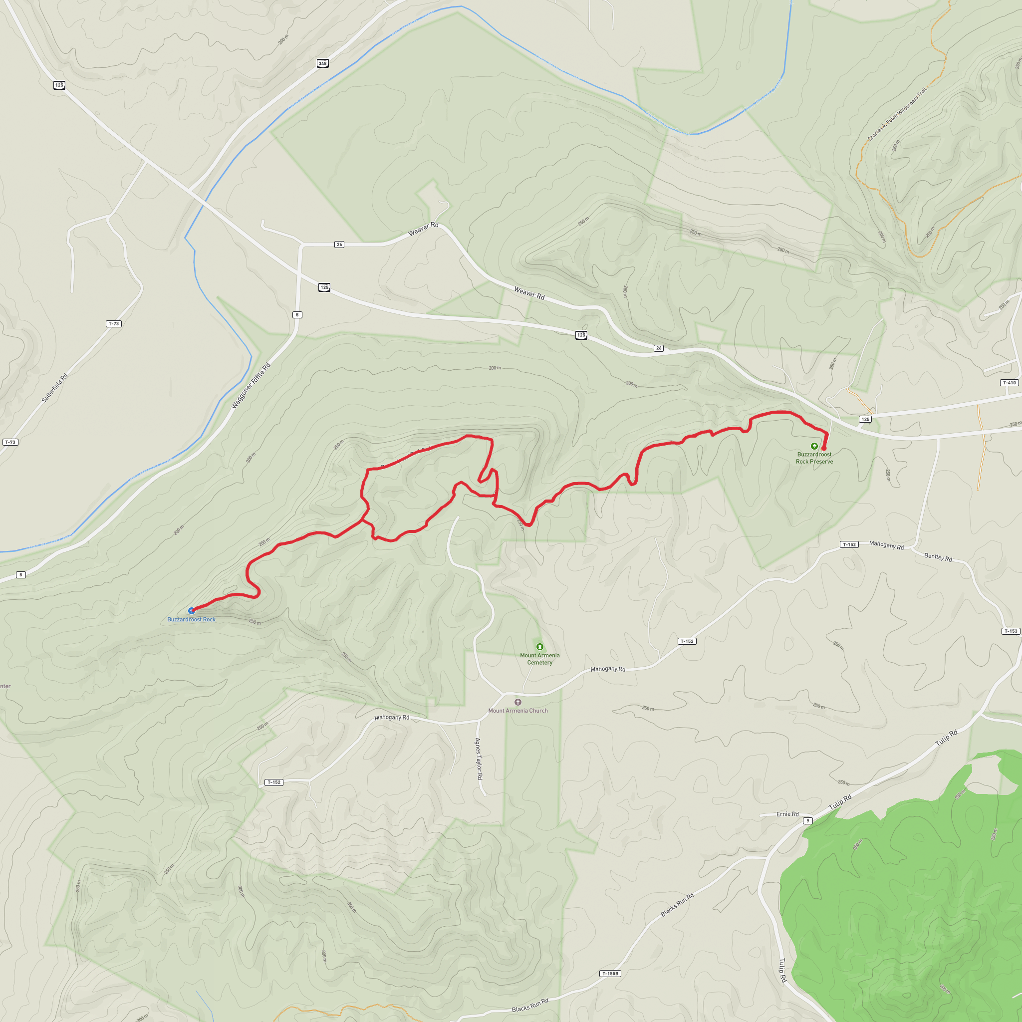 Buzzardroost Rock via Buzzardroost Rock Trail mobile static map