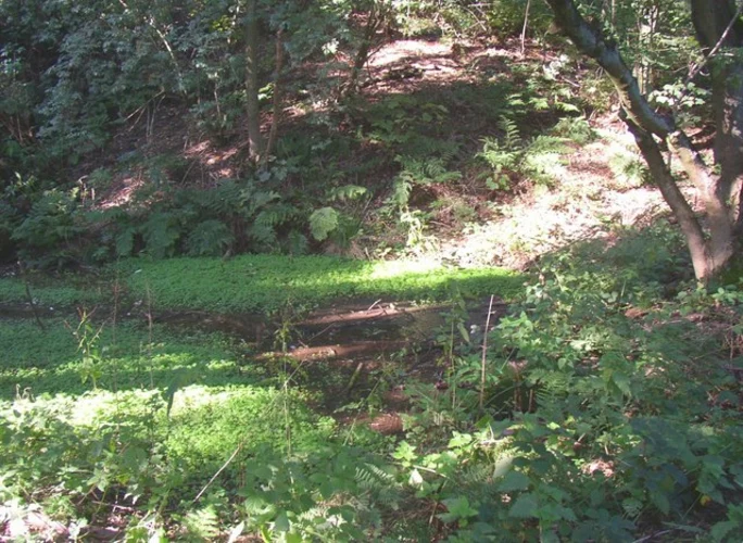 Bank Top and Elland Loop