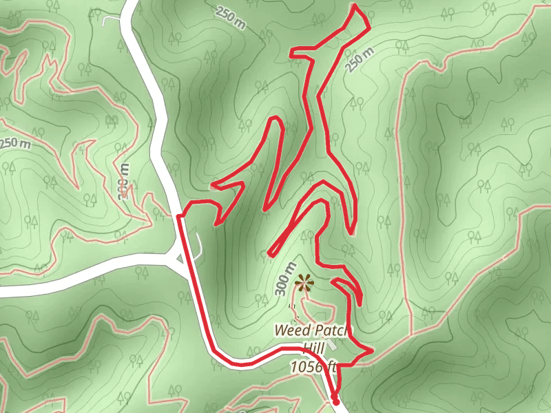 Weedpatch Hill Loop