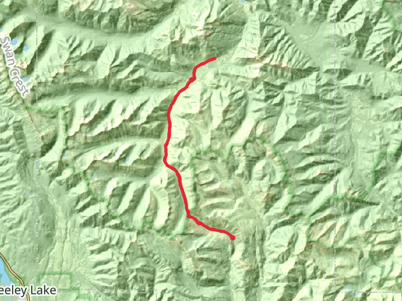 Youngs Creek via Lodgepole Trail