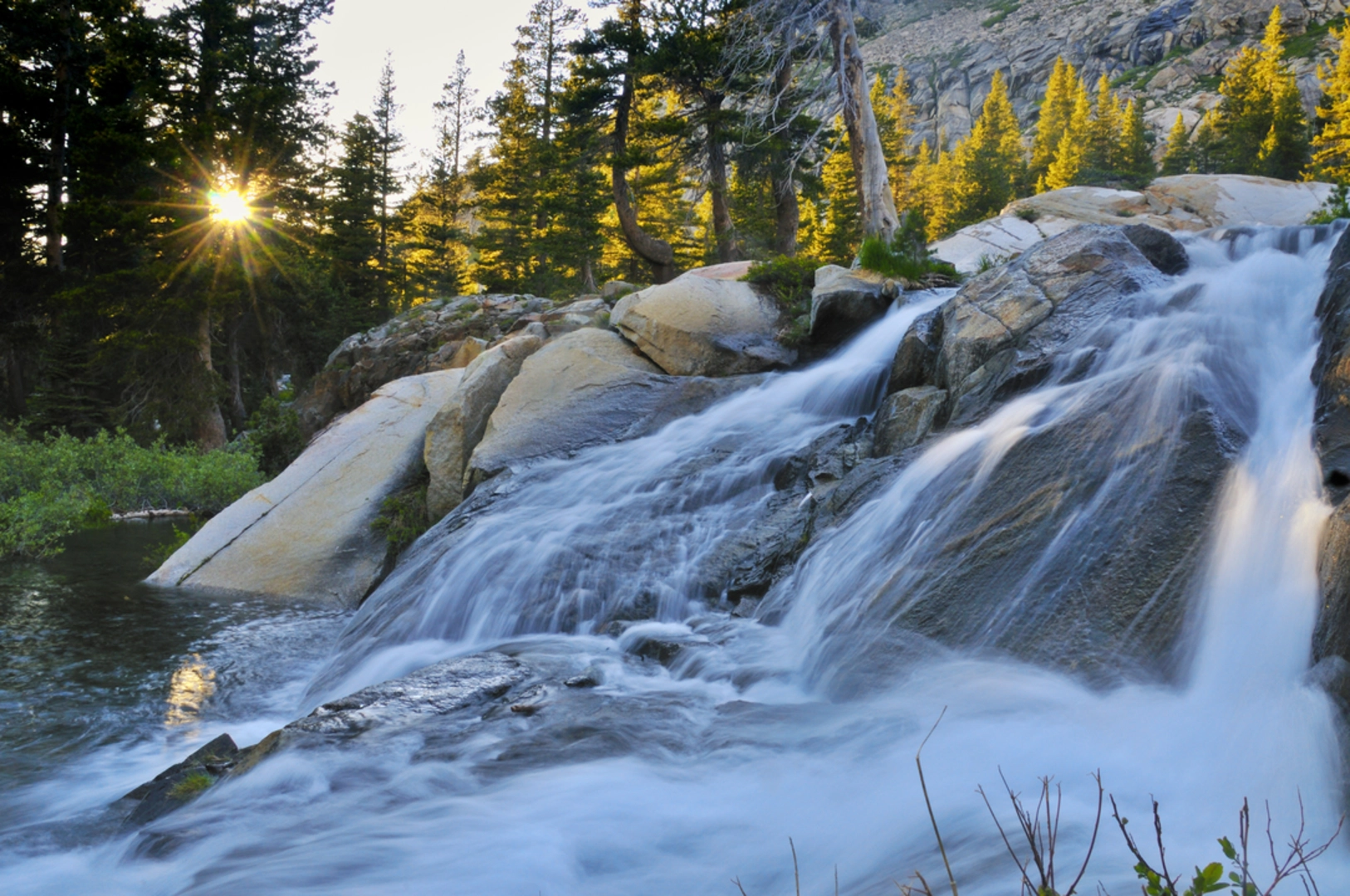 An image depicting the trail Lyons Lake via Lyons Creek Trail and its surrounding area.