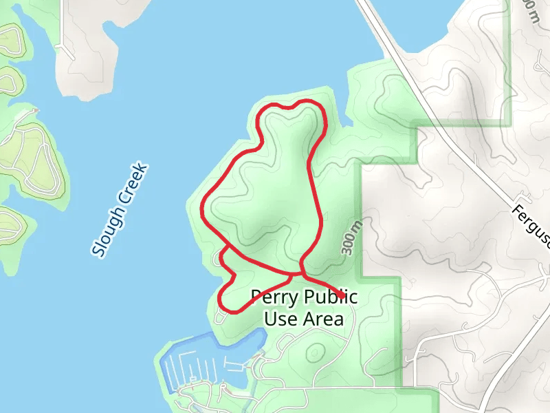 Dragonfly Meadows Loop