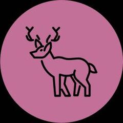 Jesse Moss avatar