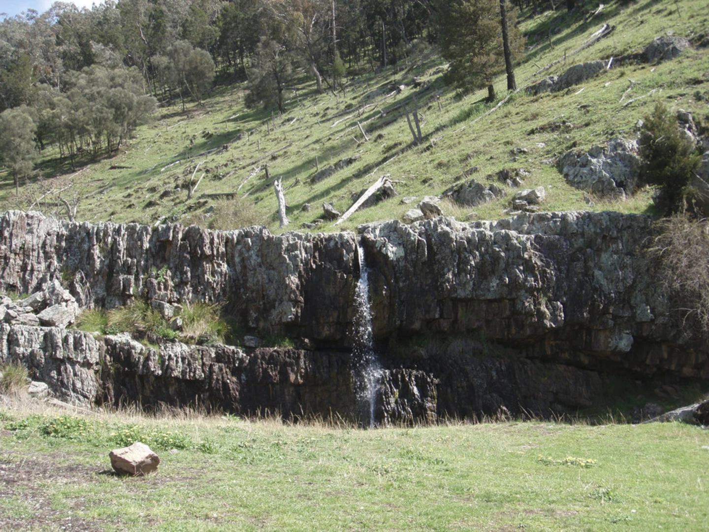 An image depicting the trail Mount Nangar Track and its surrounding area.