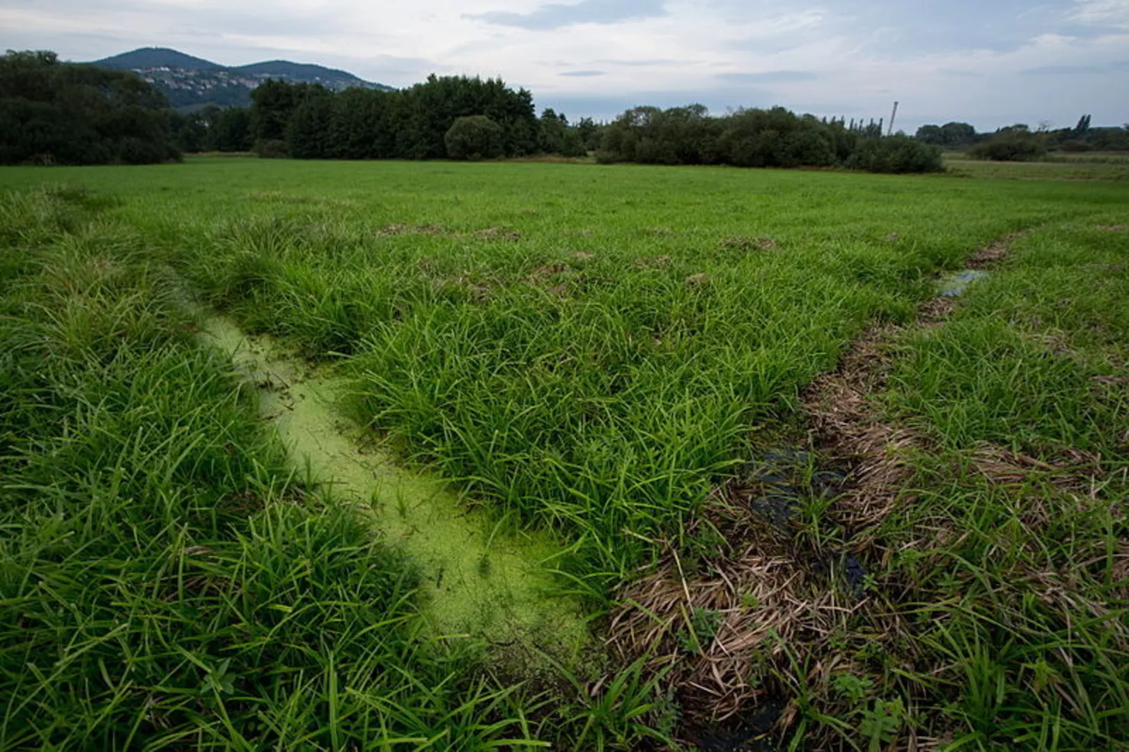 An image depicting the trail Herz-Safenau-Herz and its surrounding area.